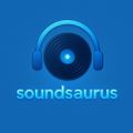 Profile picture soundsaurus.bsky.social