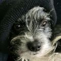 Profile picture bluepeachatl.bsky.social