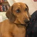 Profile picture drlou73.bsky.social