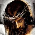 Profile picture thebekeyper.bsky.social