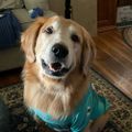 Profile picture pierogimaker.bsky.social