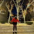 Profile picture tisthepamseason.bsky.social
