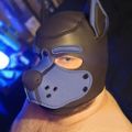 Profile picture pupwazza.bsky.social