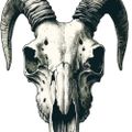 Profile picture ghost-goat.bsky.social