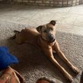 Profile picture barbe48.bsky.social