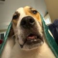 Profile picture hyperion09.bsky.social