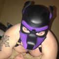 Profile picture trigstraypup.bsky.social