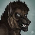 Profile picture werwolfram.bsky.social