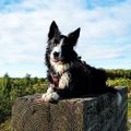 Profile picture jorgibloke.bsky.social