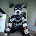 Profile picture pupspike25.bsky.social