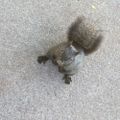 Profile picture gluckles.bsky.social