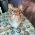 Profile picture sueandleo.bsky.social