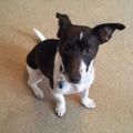 Profile picture janicew53.bsky.social