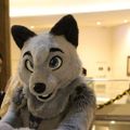 Profile picture finleythefloof.bsky.social