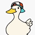 Profile picture licensedquack.bsky.social