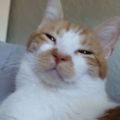 Profile picture tofueducation.bsky.social
