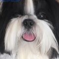 Profile picture maradesouza03.bsky.social