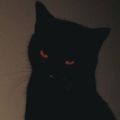 Profile picture pijamita01.bsky.social