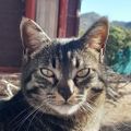 Profile picture elliemae71.bsky.social