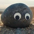 Profile picture seawall.bsky.social