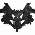 Profile picture peireweust.bsky.social
