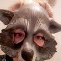 Profile picture lisarazu8.bsky.social