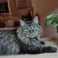 Profile picture napper13.bsky.social