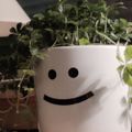 Profile picture happieplant.nl