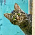 Profile picture samyze.bsky.social