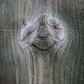 Profile picture alamarama.bsky.social