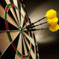 Profile picture dartmaestro.bsky.social