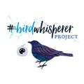 Profile picture birdwhisperers.bsky.social