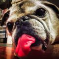 Profile picture rfhirschfeld.bsky.social