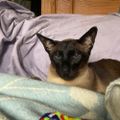 Profile picture mcmeezer.bsky.social