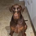 Profile picture cburndingus.bsky.social