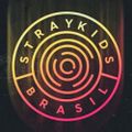 Profile picture straykidsbr.bsky.social