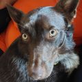 Profile picture emu10.bsky.social