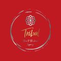 Profile picture tribaleco.bsky.social