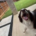 Profile picture tammyleighb.bsky.social