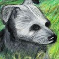 Profile picture perfectbleu.bsky.social