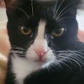 Profile picture mabelsmom.bsky.social