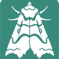 Profile picture gardenmothscheme.bsky.social