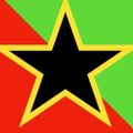 Profile picture greensyndicalist.bsky.social