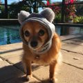 Profile picture ceiva.bsky.social