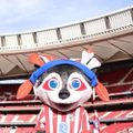 Profile picture marga-y-punto.bsky.social