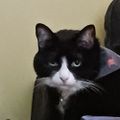 Profile picture othermothertomany.bsky.social