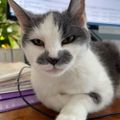 Profile picture sbguenst.bsky.social