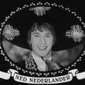 Profile picture ned33.bsky.social