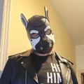 Profile picture pupalexuk.bsky.social