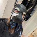 Profile picture wolfieboy69.bsky.social
